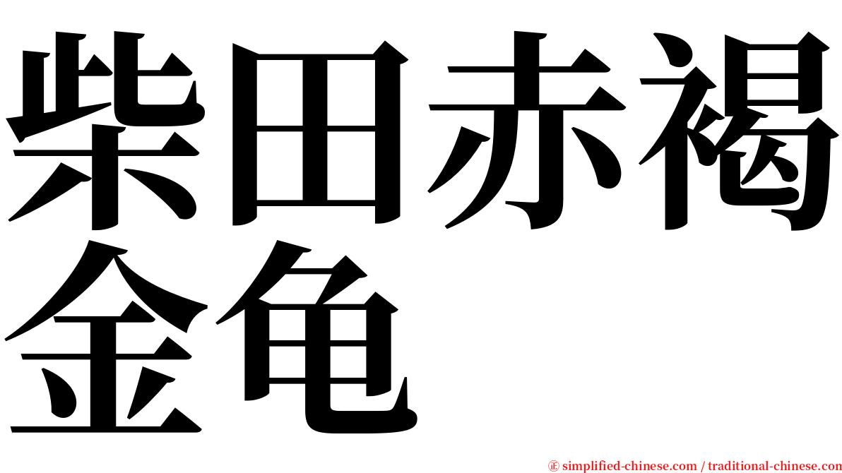 柴田赤褐金龟 serif font