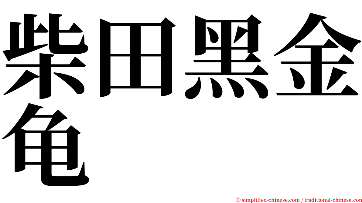 柴田黑金龟 serif font