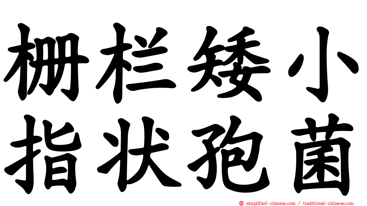 栅栏矮小指状孢菌