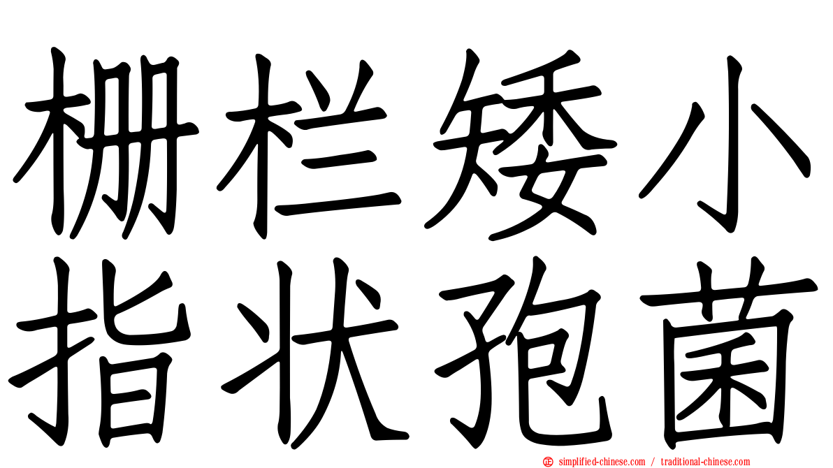 栅栏矮小指状孢菌