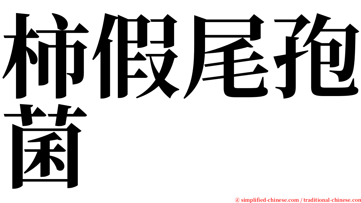 柿假尾孢菌 serif font