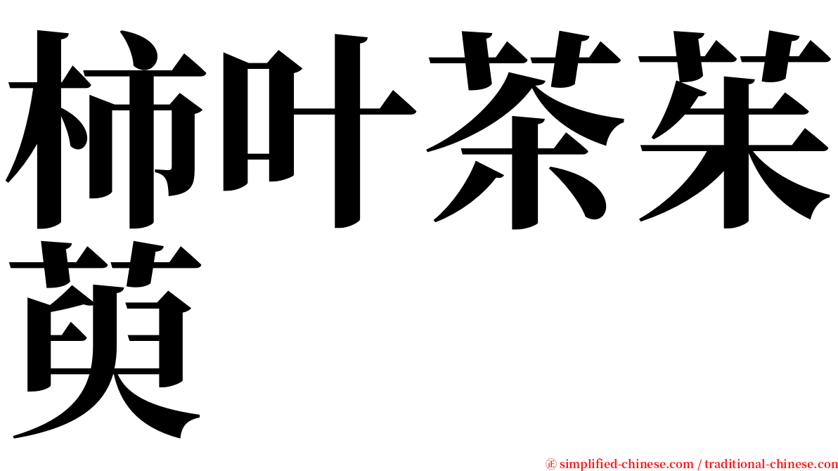 柿叶茶茱萸 serif font