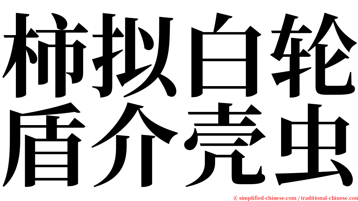 柿拟白轮盾介壳虫 serif font