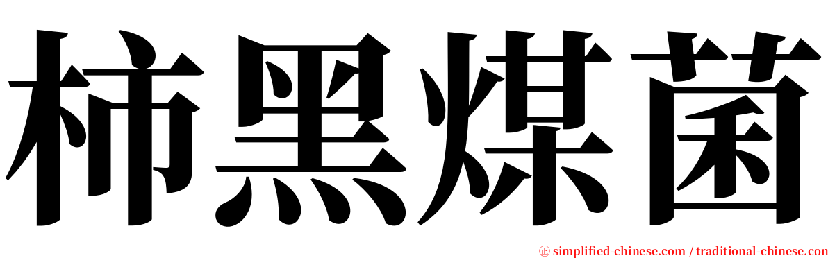 柿黑煤菌 serif font