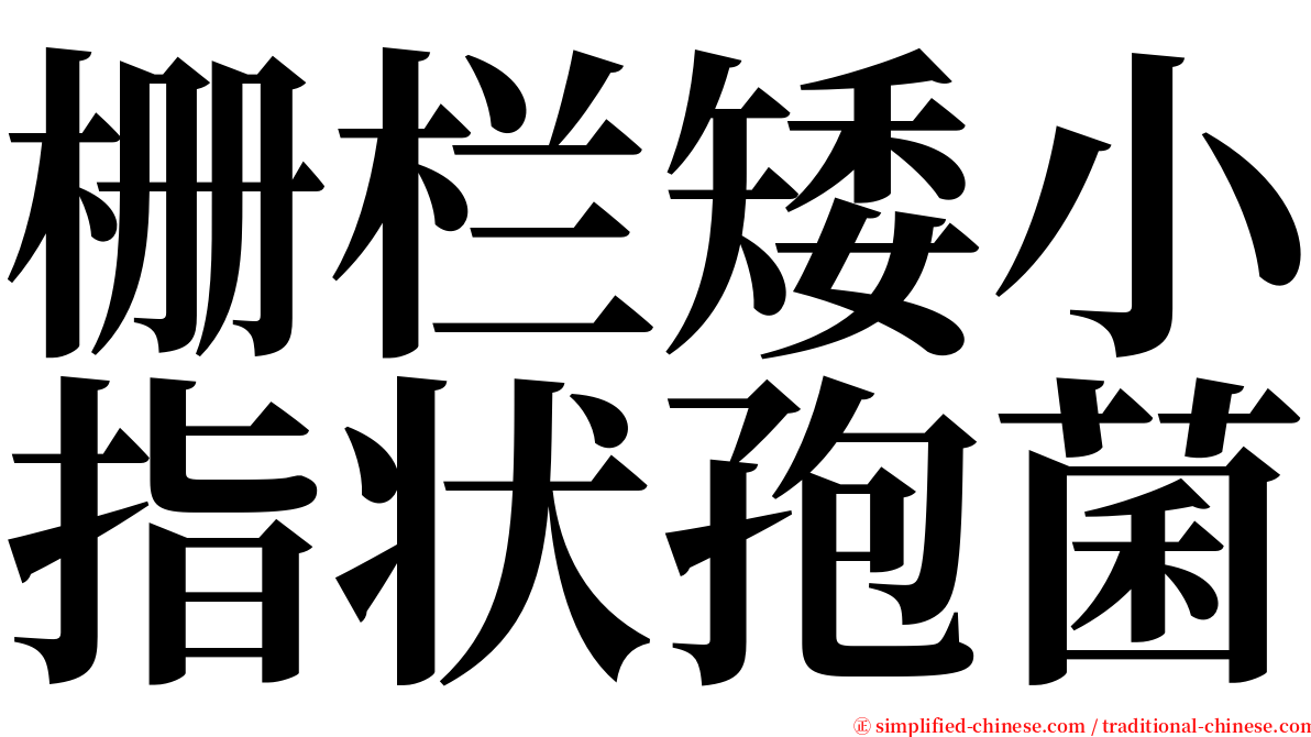 栅栏矮小指状孢菌 serif font