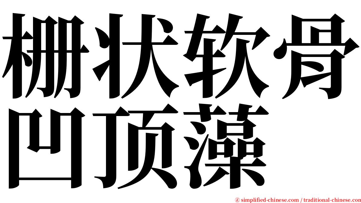 栅状软骨凹顶藻 serif font