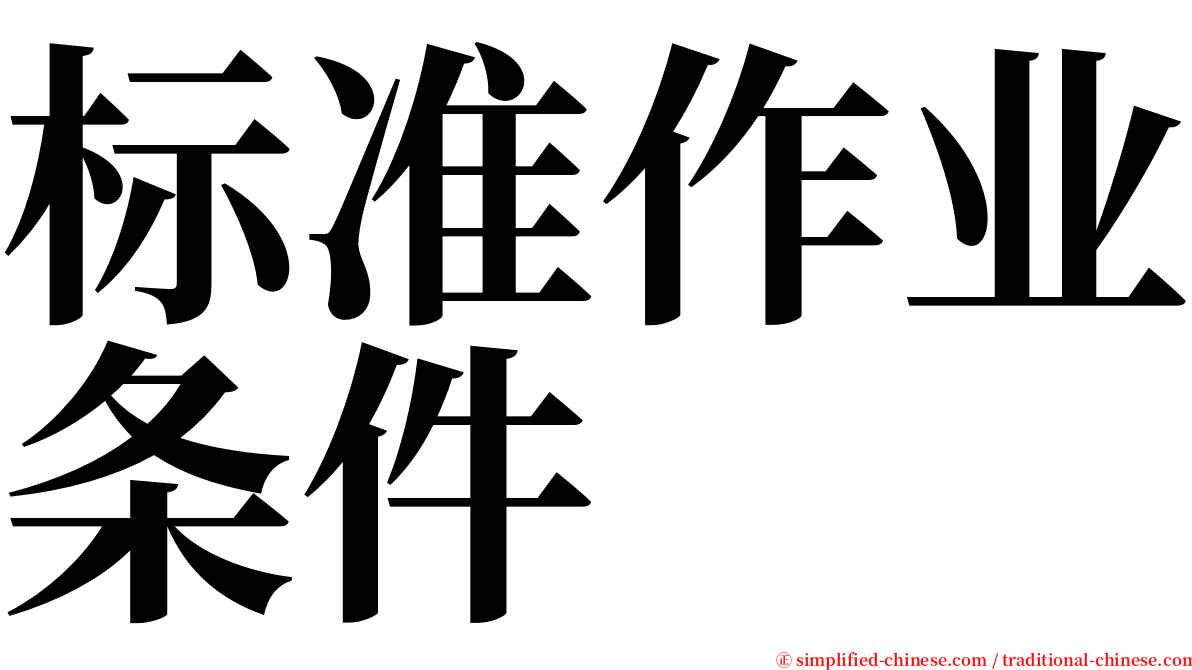 标准作业条件 serif font