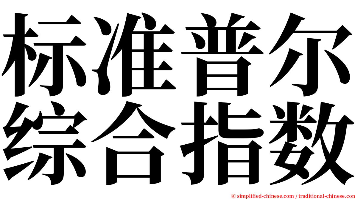 标准普尔综合指数 serif font