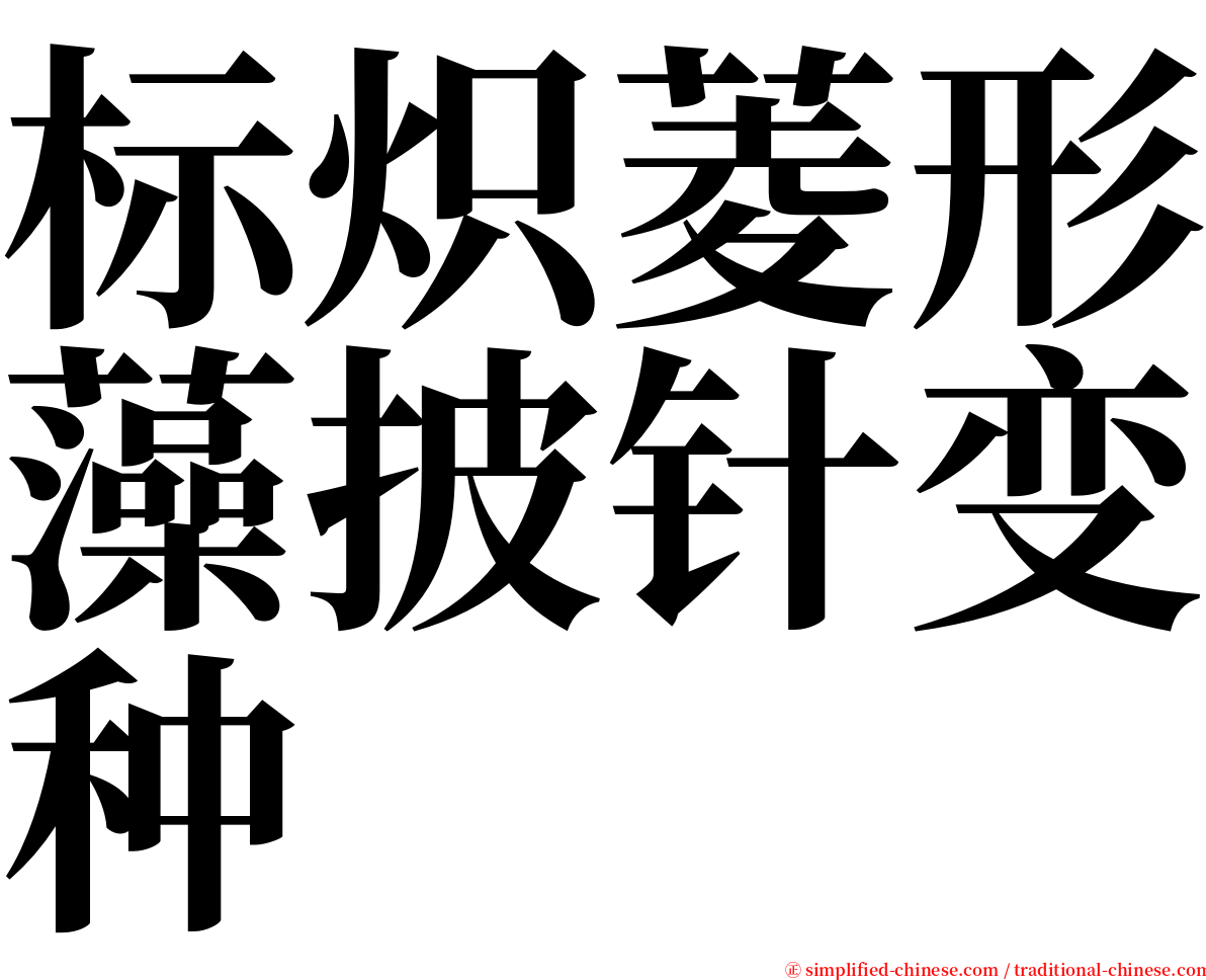 标炽菱形藻披针变种 serif font