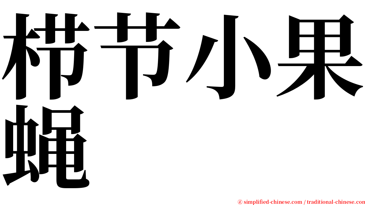 栉节小果蝇 serif font