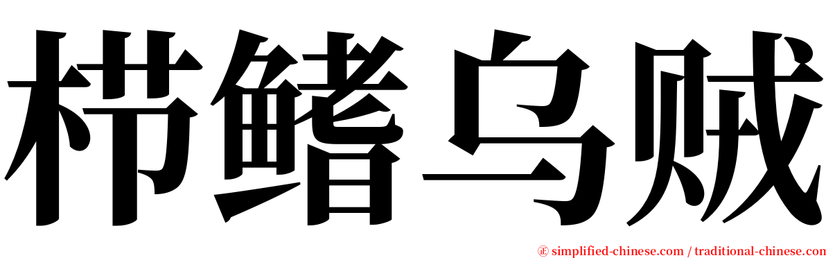 栉鳍乌贼 serif font