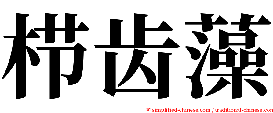 栉齿藻 serif font