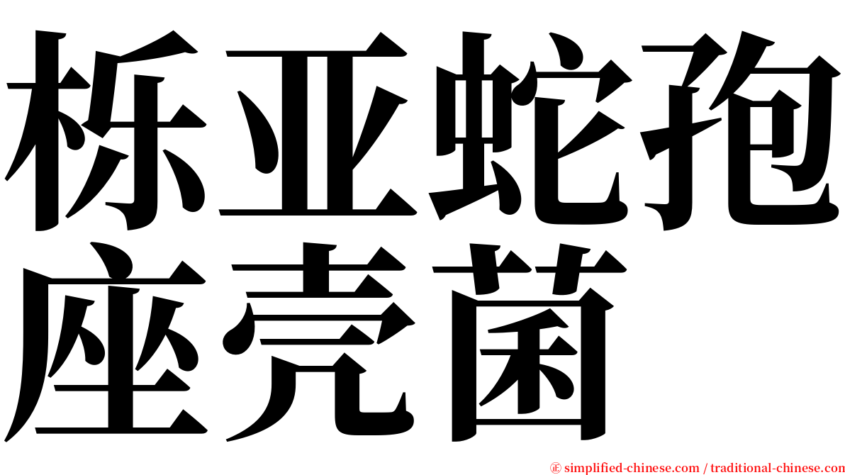 栎亚蛇孢座壳菌 serif font