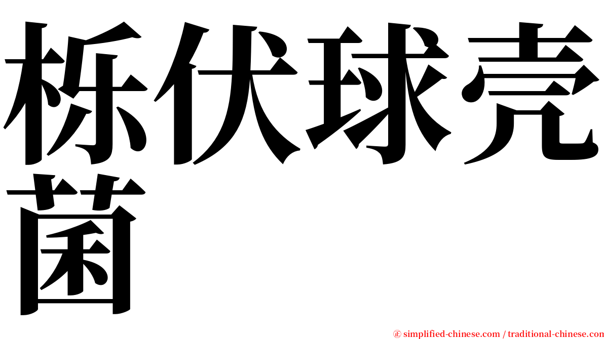 栎伏球壳菌 serif font