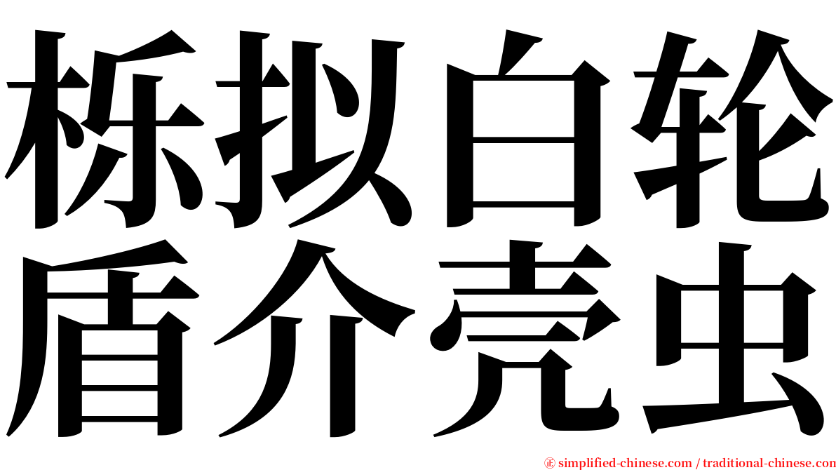 栎拟白轮盾介壳虫 serif font