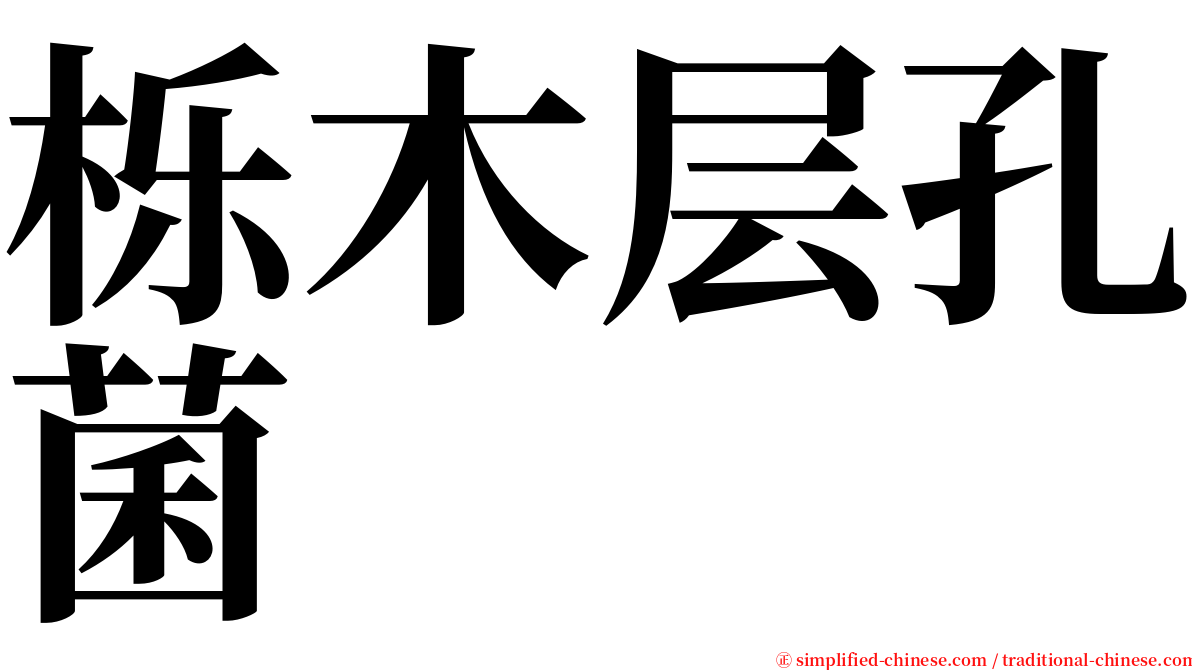 栎木层孔菌 serif font