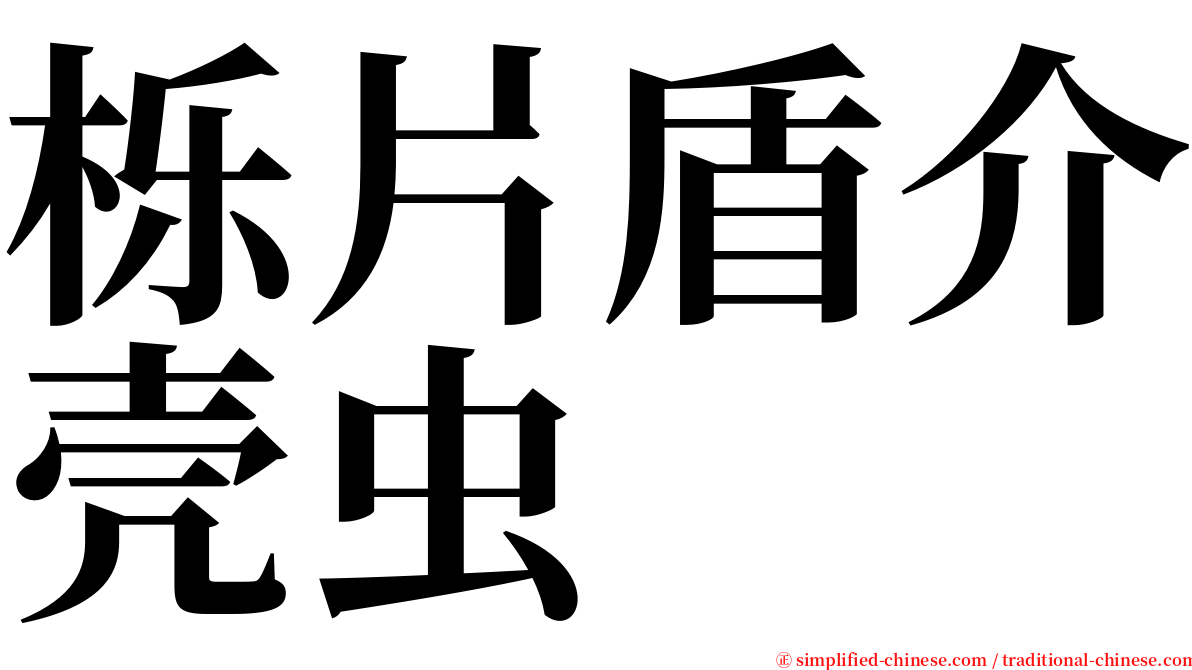 栎片盾介壳虫 serif font