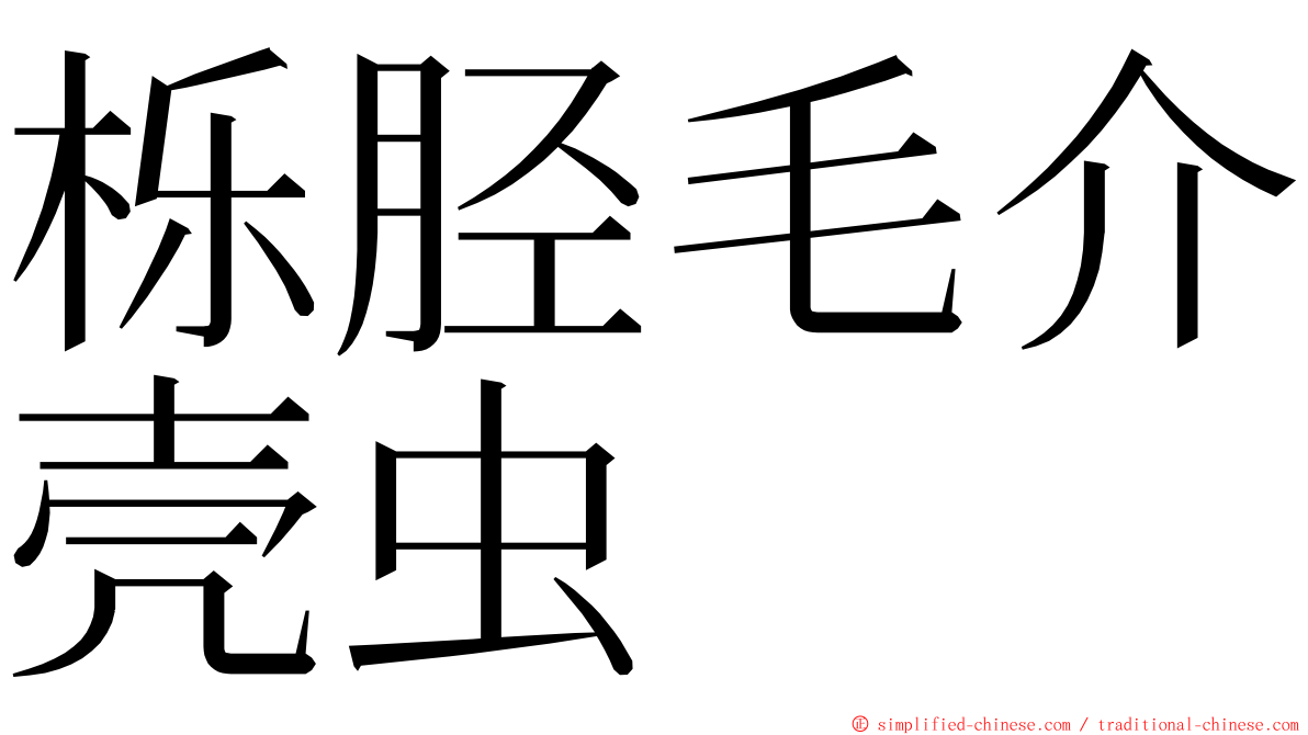 栎胫毛介壳虫 ming font