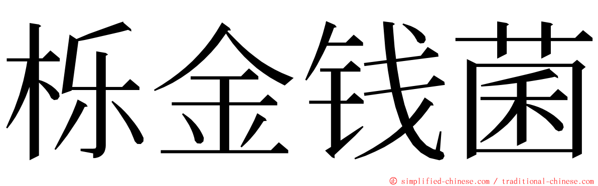 栎金钱菌 ming font