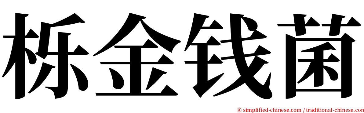 栎金钱菌 serif font