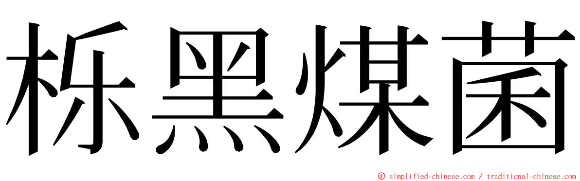 栎黑煤菌 ming font