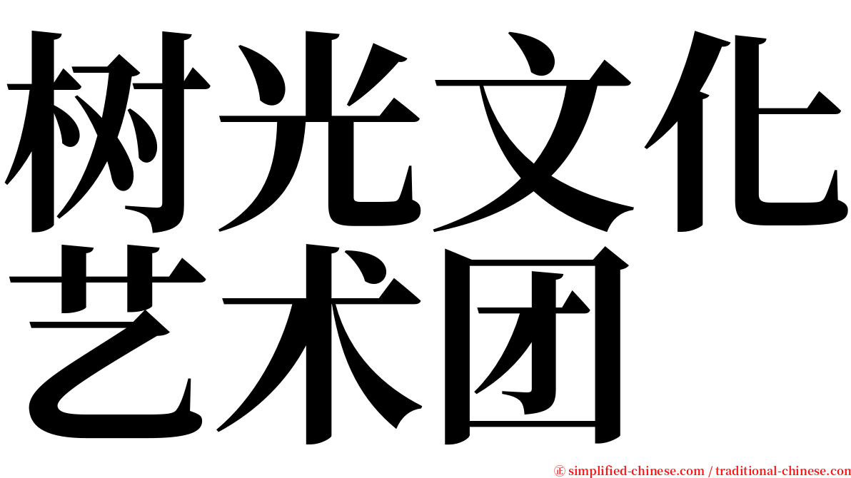 树光文化艺术团 serif font