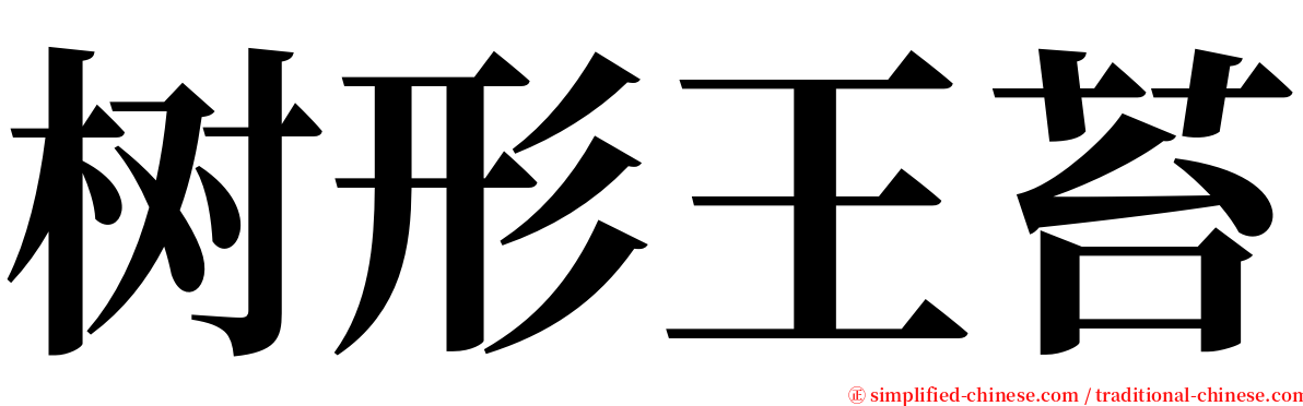 树形王苔 serif font