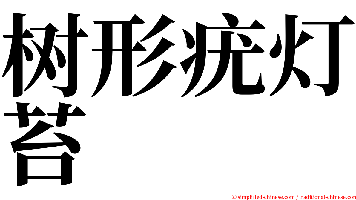 树形疣灯苔 serif font