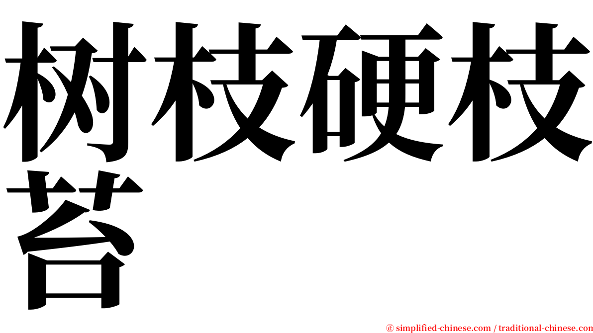 树枝硬枝苔 serif font