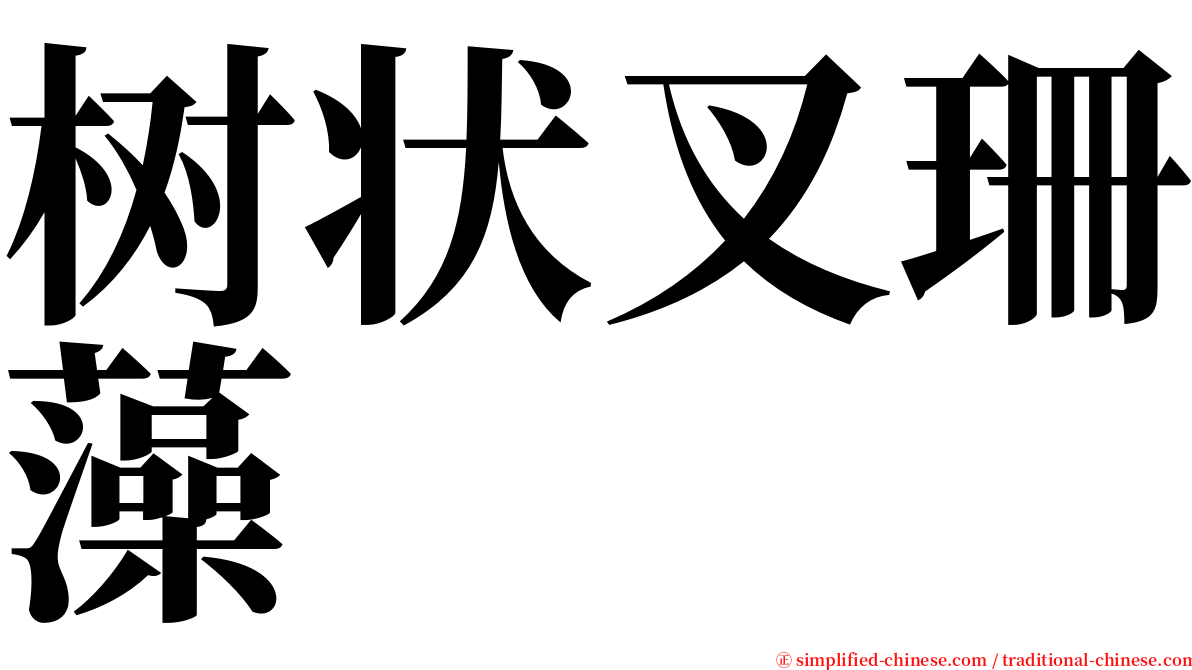 树状叉珊藻 serif font