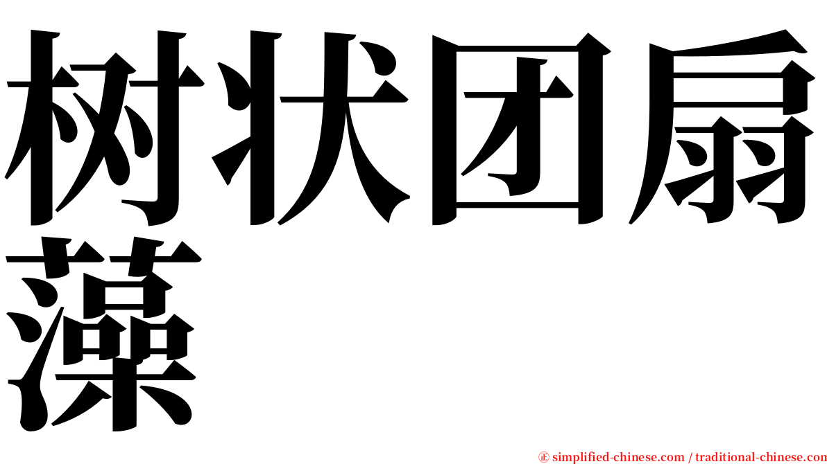 树状团扇藻 serif font