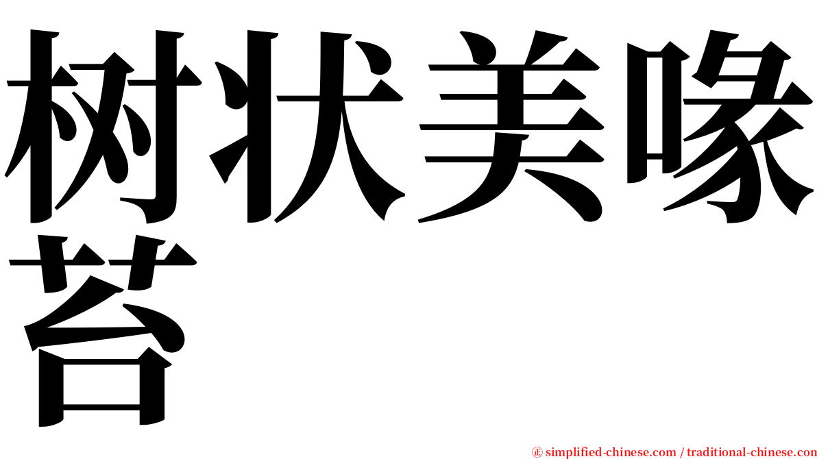 树状美喙苔 serif font