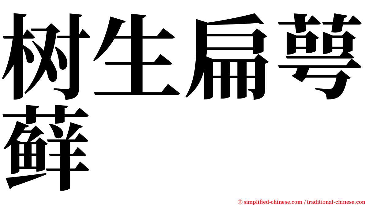树生扁萼藓 serif font