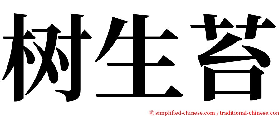 树生苔 serif font
