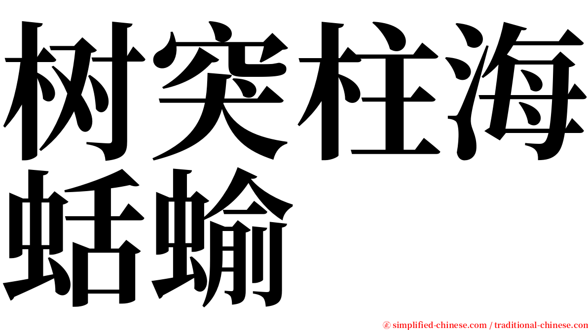 树突柱海蛞蝓 serif font