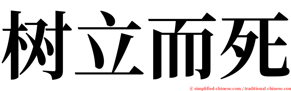 树立而死 serif font