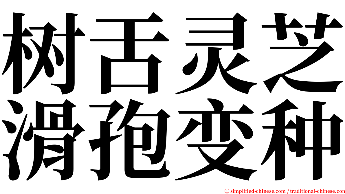 树舌灵芝滑孢变种 serif font