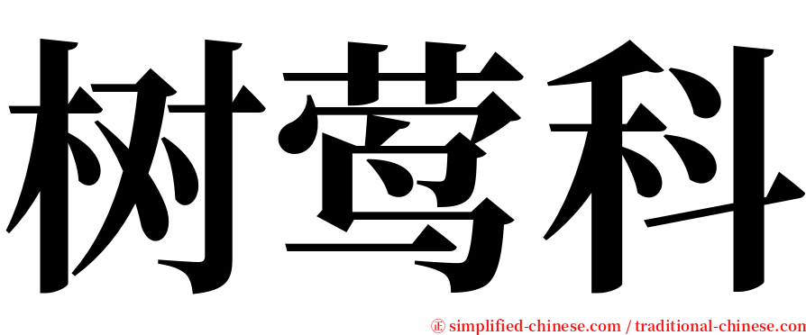 树莺科 serif font