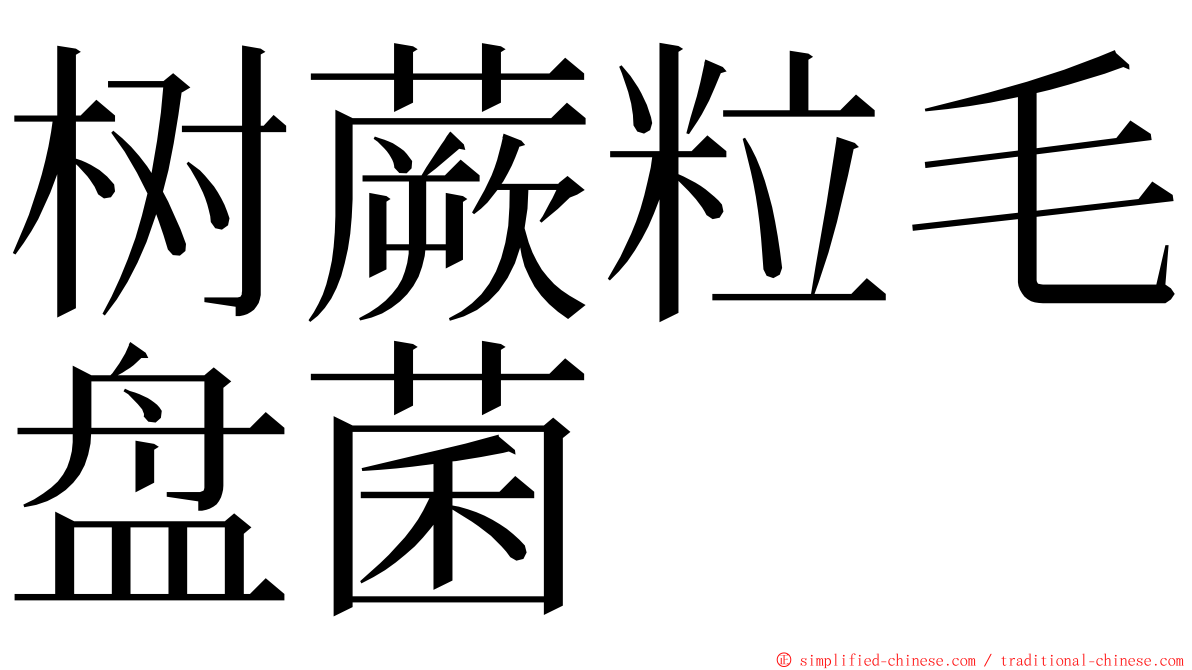 树蕨粒毛盘菌 ming font