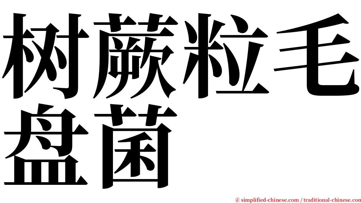 树蕨粒毛盘菌 serif font