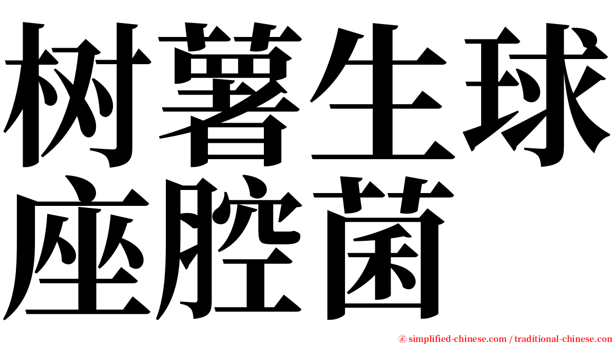 树薯生球座腔菌 serif font