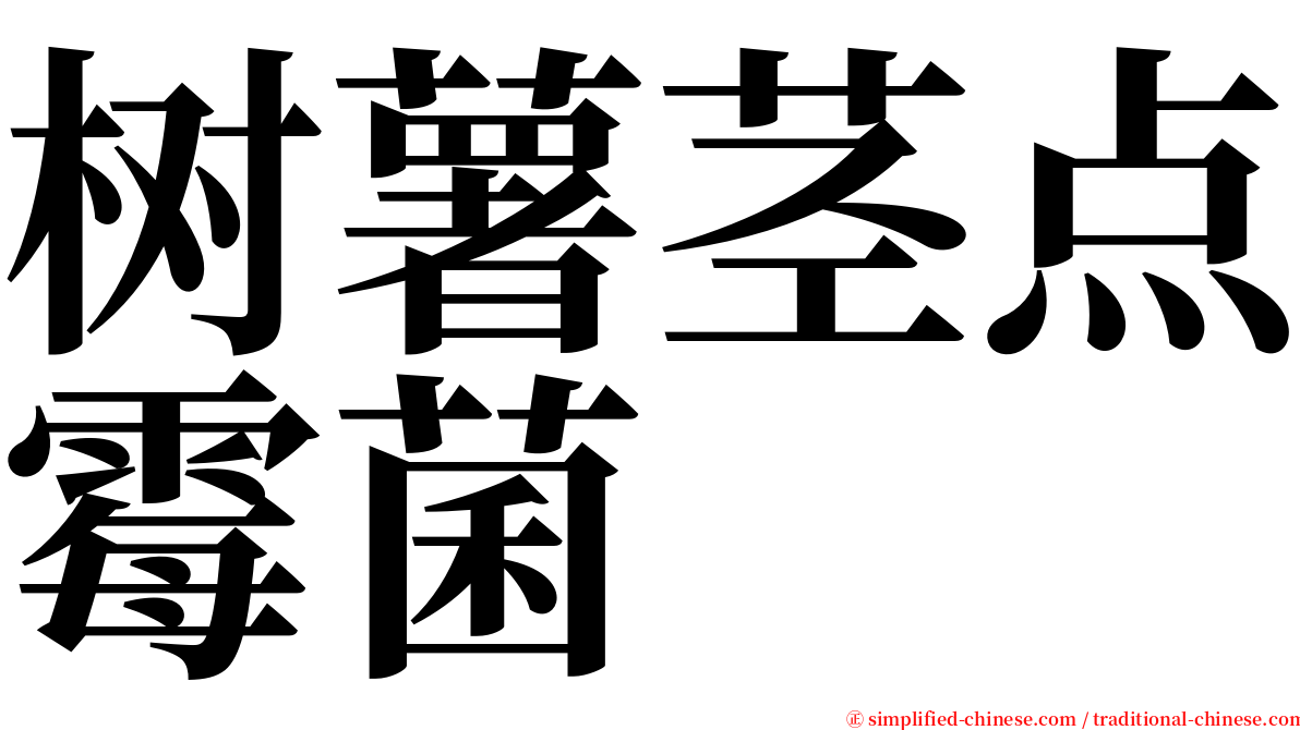 树薯茎点霉菌 serif font