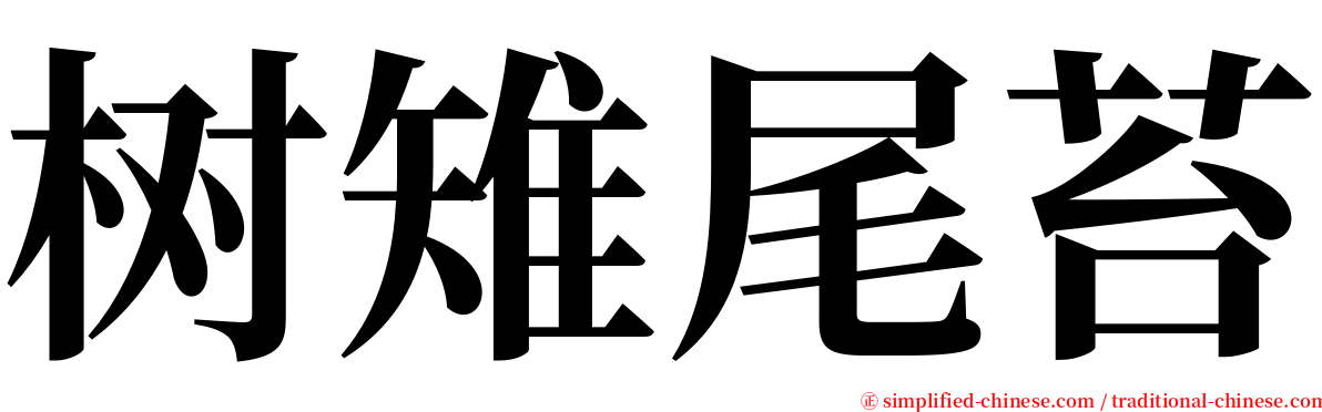 树雉尾苔 serif font