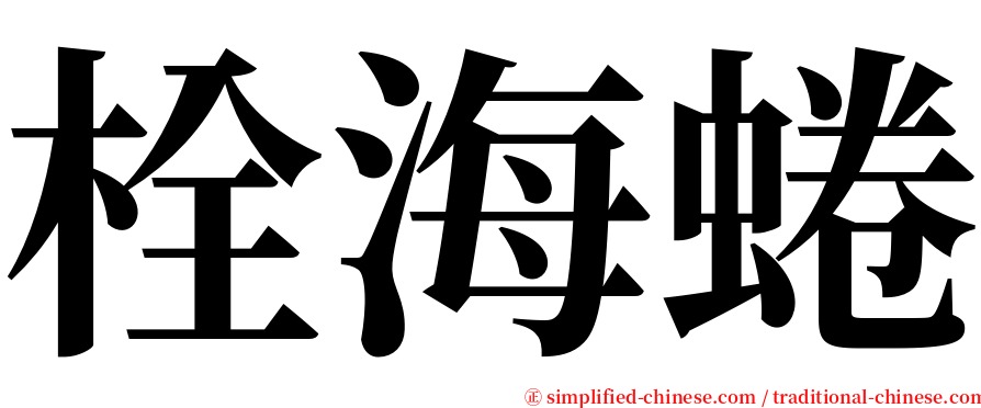 栓海蜷 serif font