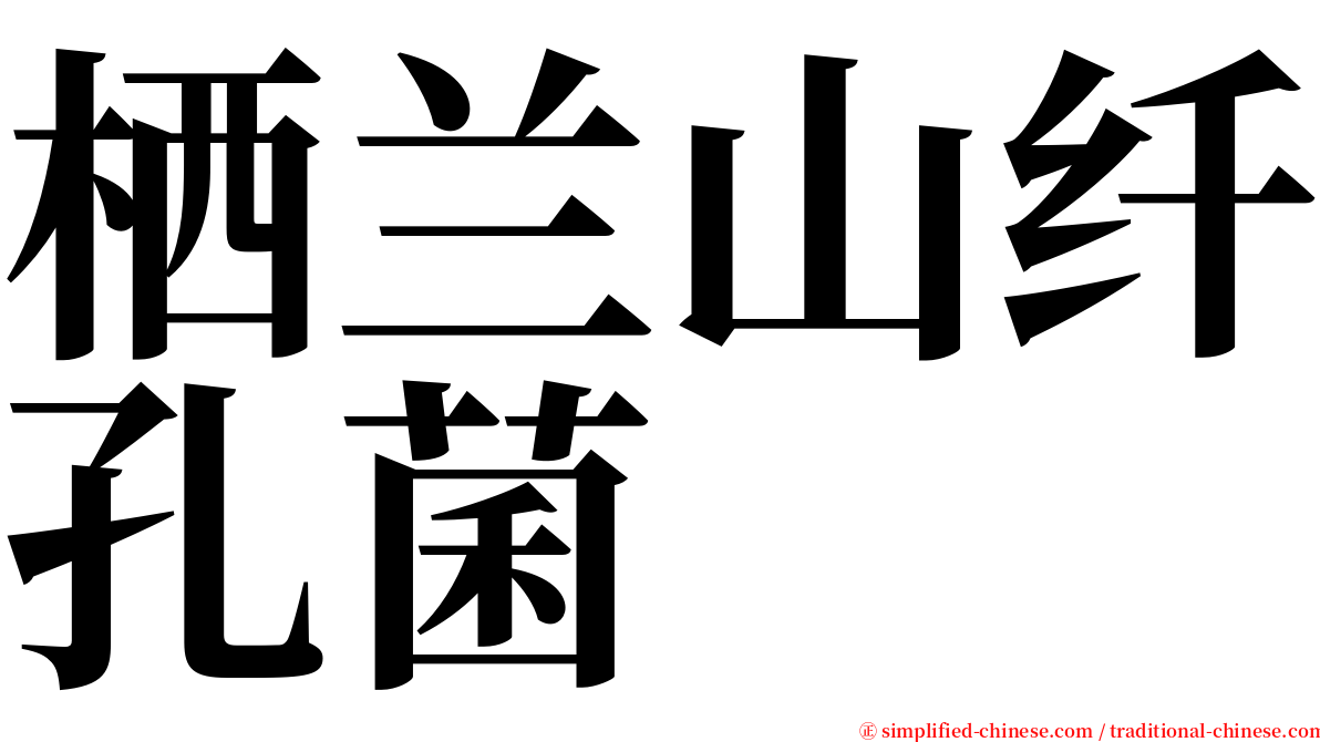 栖兰山纤孔菌 serif font