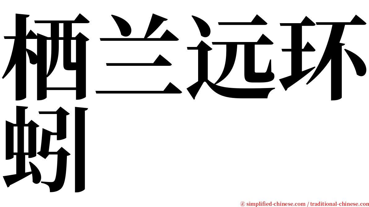 栖兰远环蚓 serif font