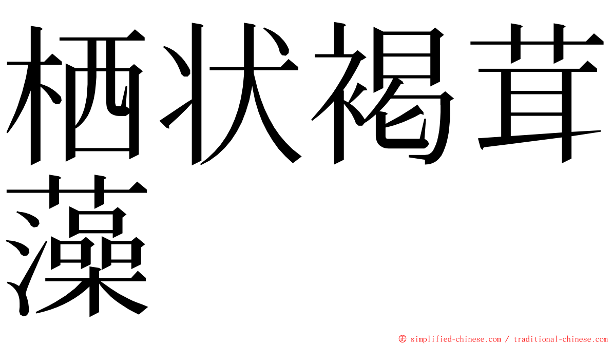 栖状褐茸藻 ming font