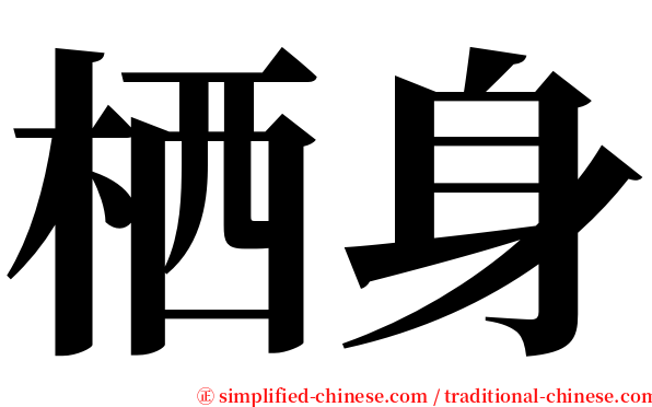 栖身 serif font
