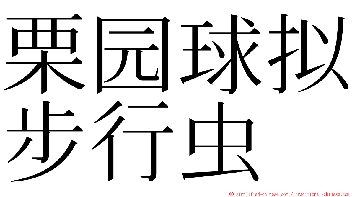 栗园球拟步行虫 ming font