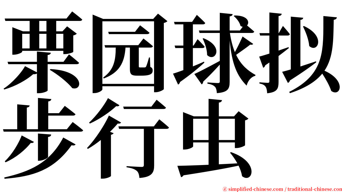 栗园球拟步行虫 serif font